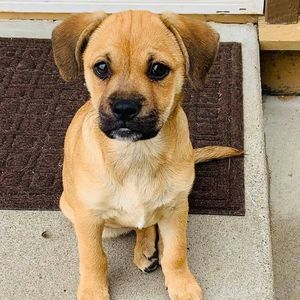 Meet your Posher, Jana